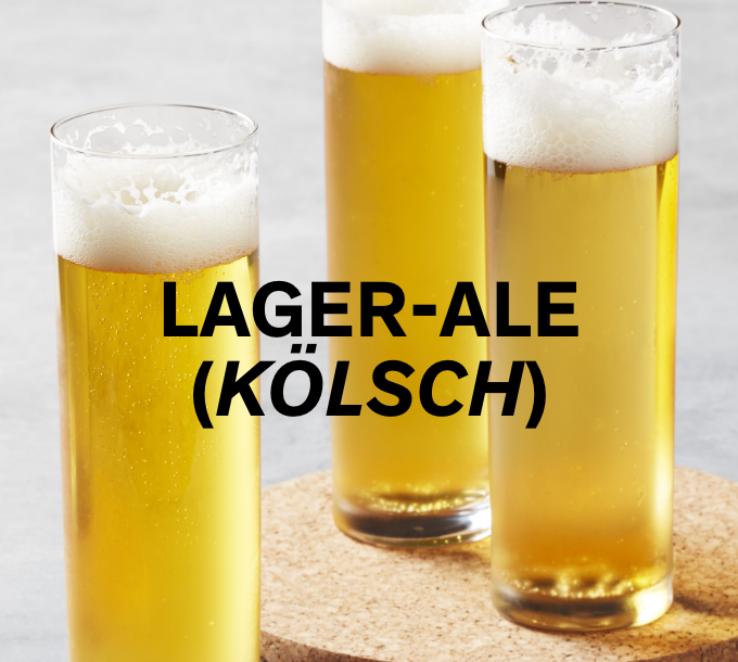 Kolsch