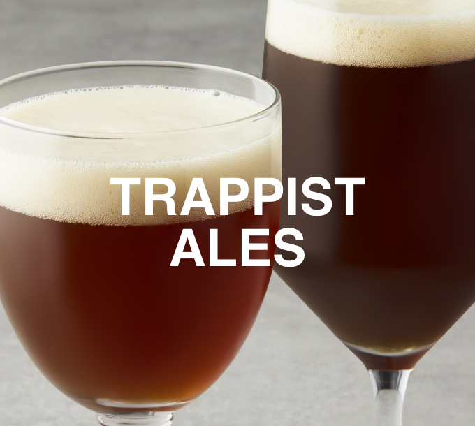 Trappist Ales