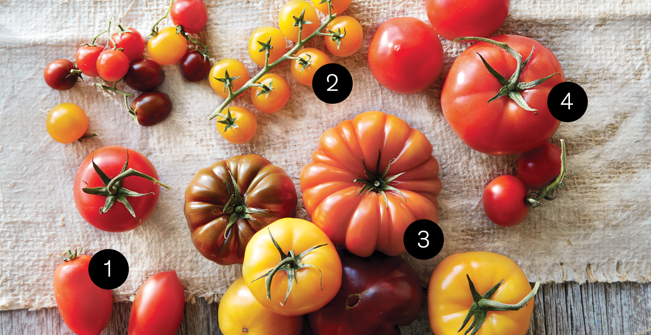 Tomatoes 101