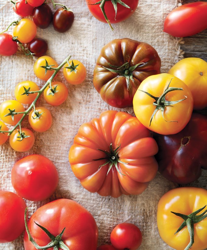 Tomato Varieities