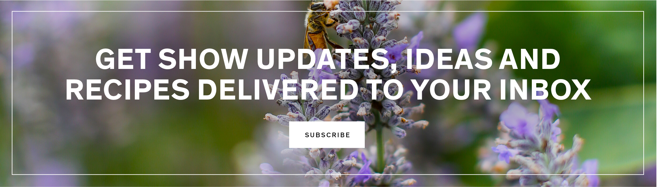 Get show updates, ideas and recipes delivered to your inbox.