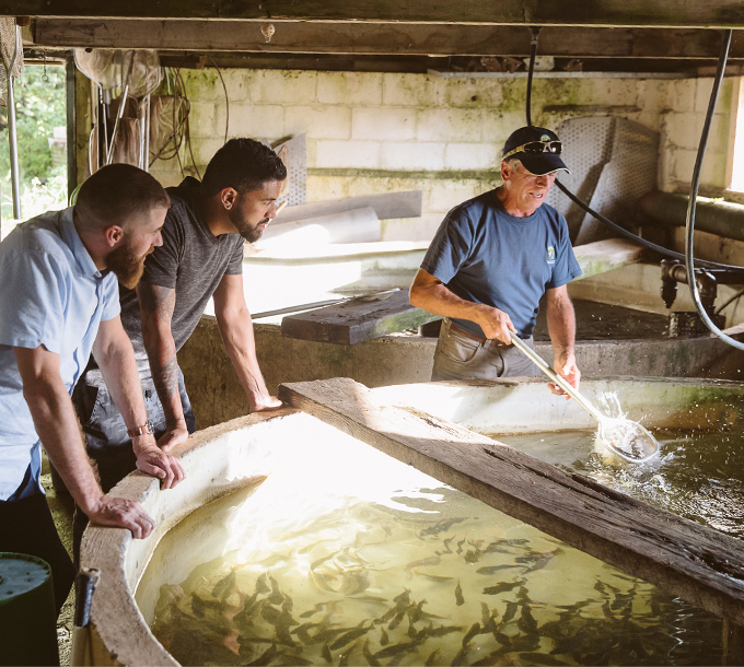 5. Kolapore Springs Cabins & Fish Hatchery