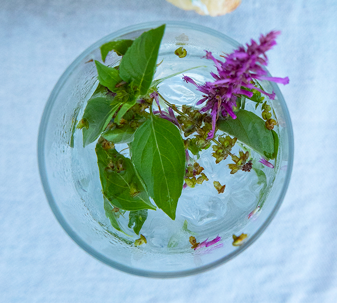 Gin-tonic de l’île