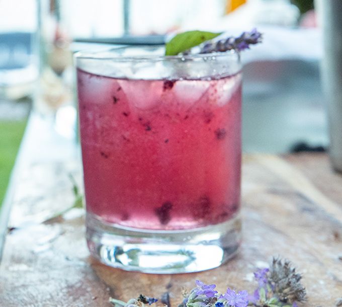 Blueberry Lavender Cocktail