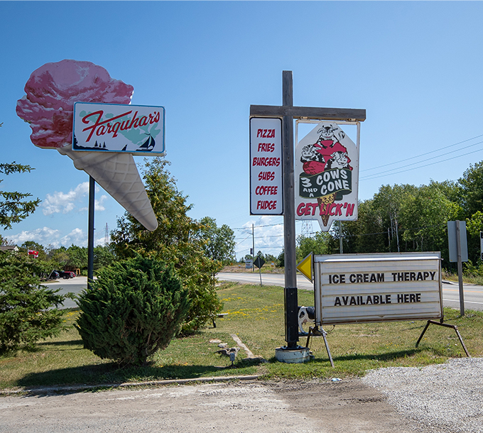 2. 3 Cows and a Cone