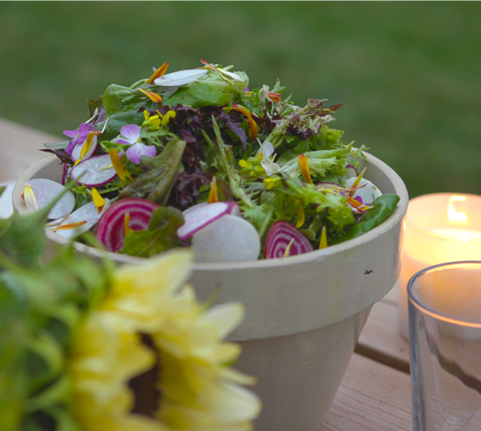 Salade du jardin florale et fraîche