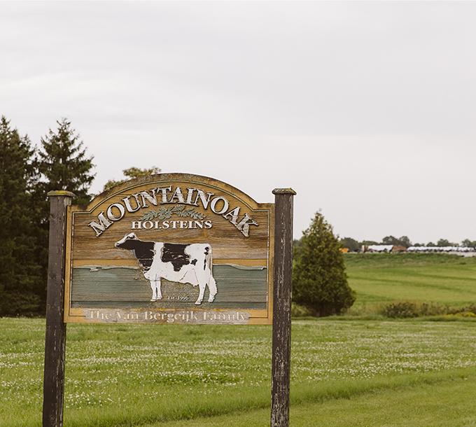 3. Fromagerie Mountainoak Cheese Ltd.