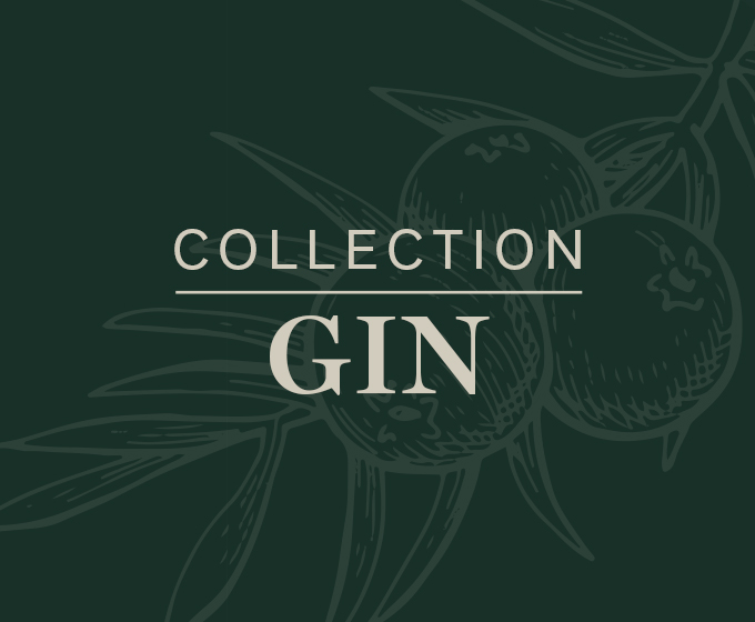 Explorer la Collection Gin