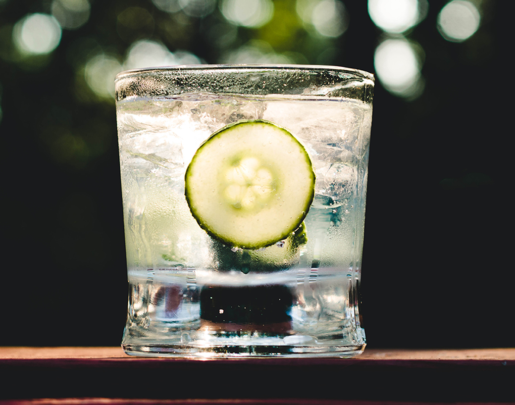 Explore North American Gins 