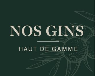 Nos gins haut de gamme