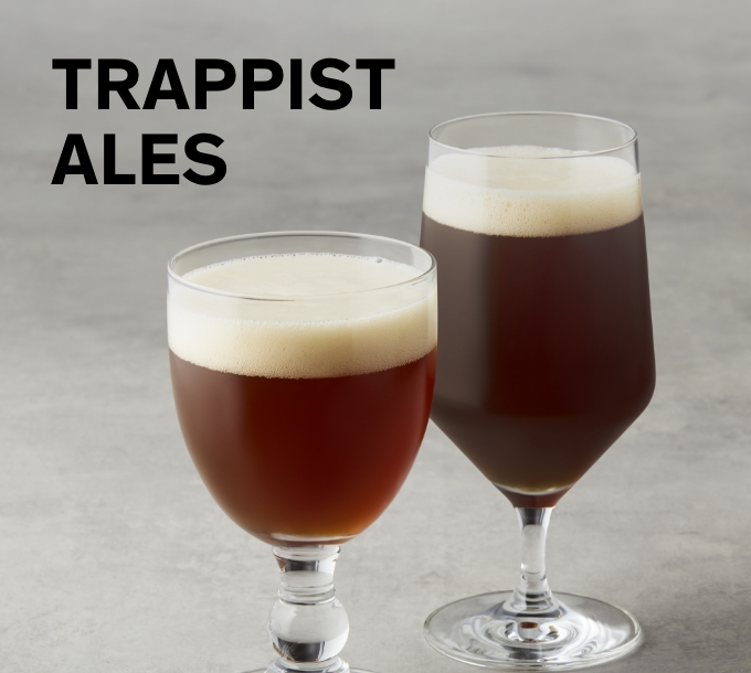 Trappist Ales