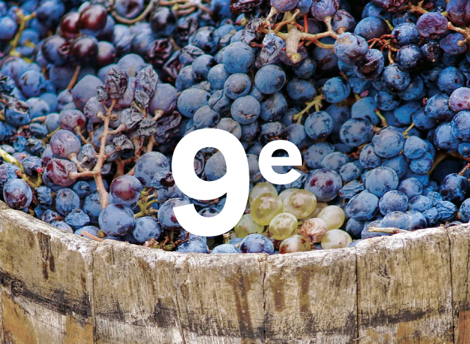 9e