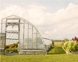 Roy’L Acres Farm