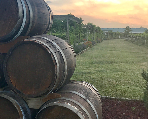 Pelee Island Winery Kingsville