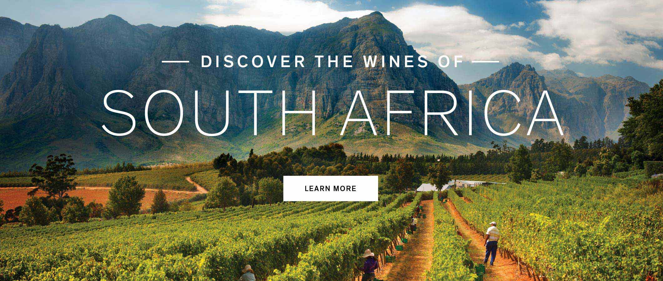 Discover the Wines of France
