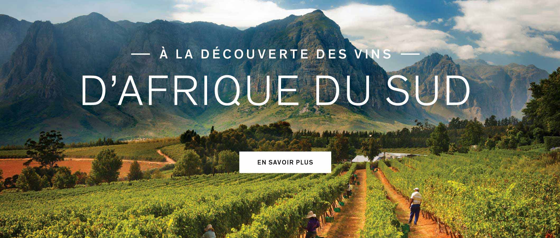 À la découverte des vins de France