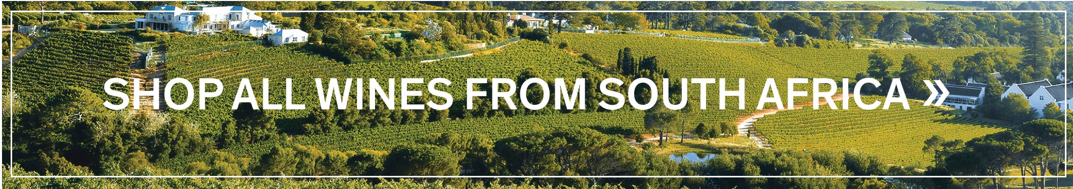Shop All Wines from South Africa