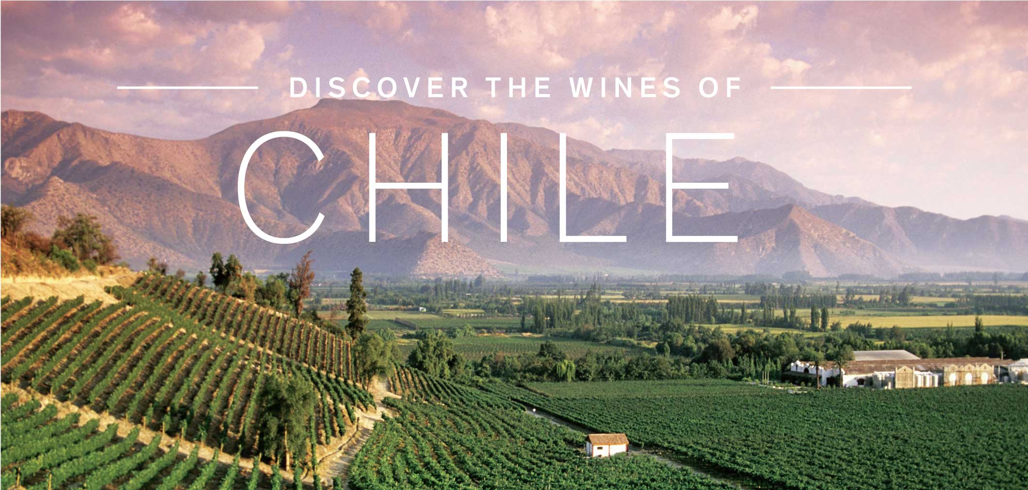 Discover the Wines of Chile 