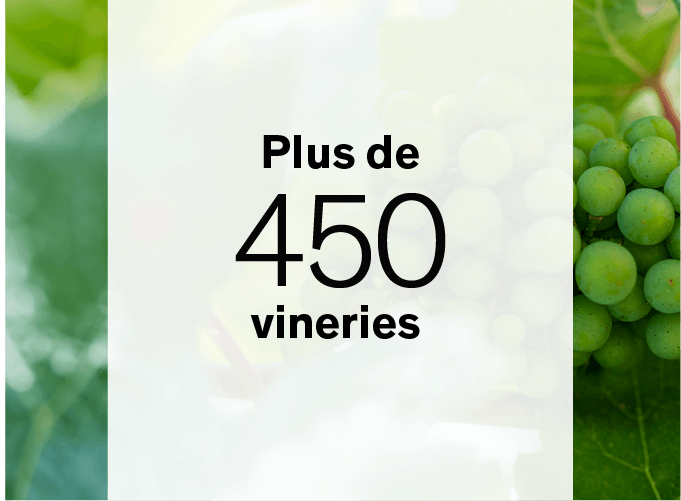 Plus de 450 vineries