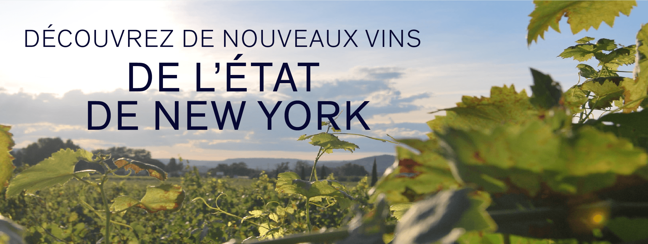 À la découverte des vins de l'État de New York