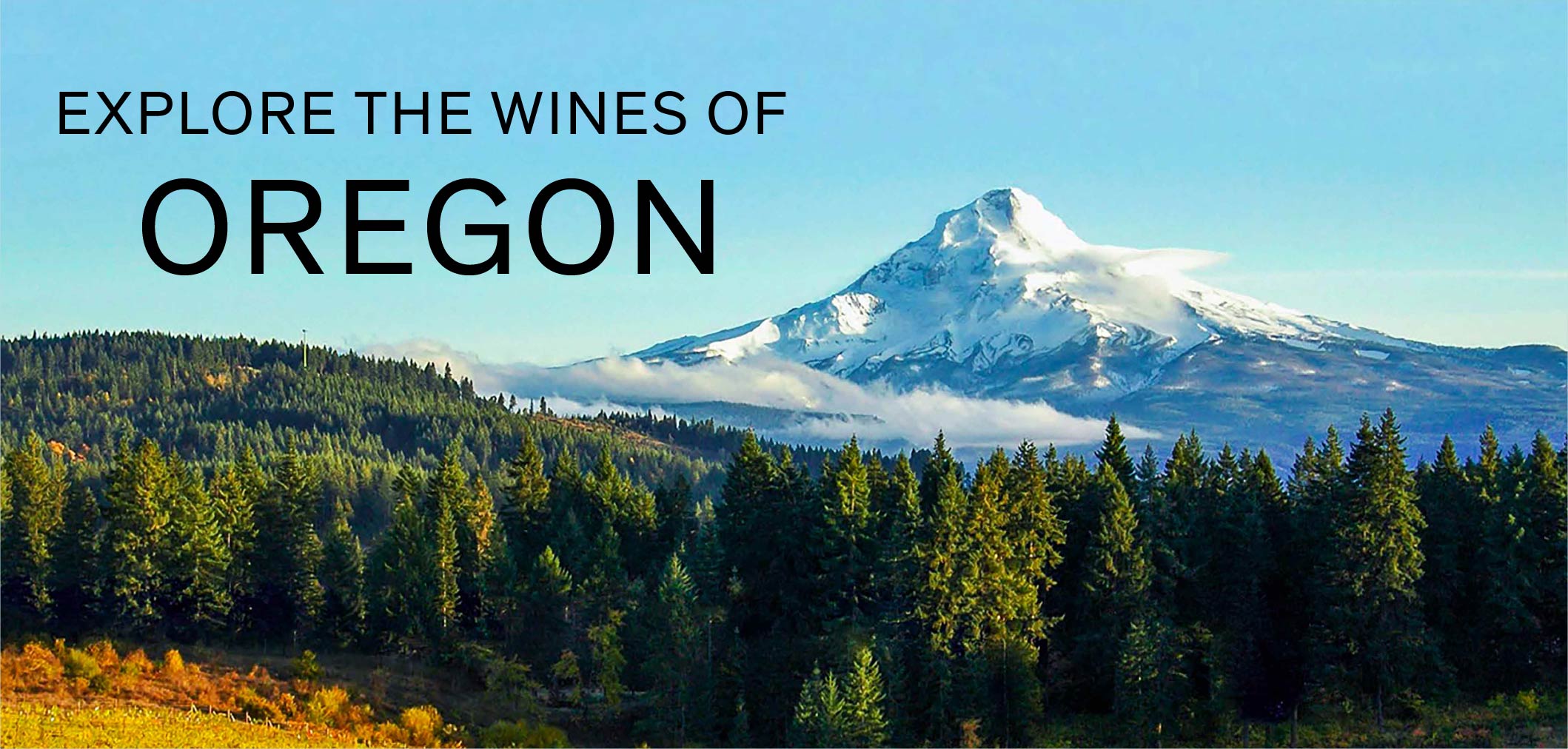 Explore the Wines of Oregon