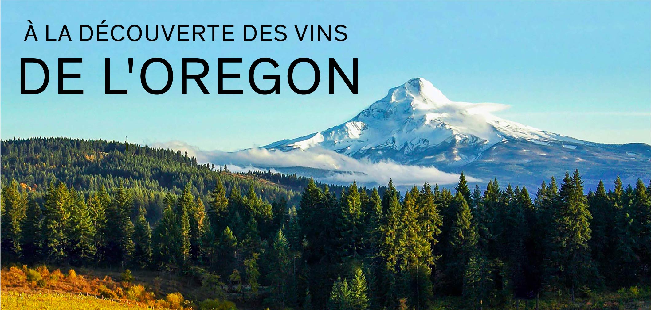 À la découverte des vins de l'Oregon