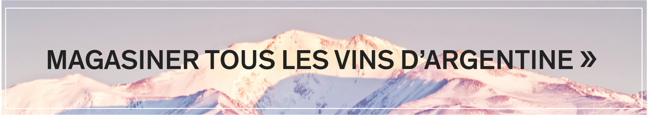 MAGASINER TOUS LES VINS D’ARGENTINE