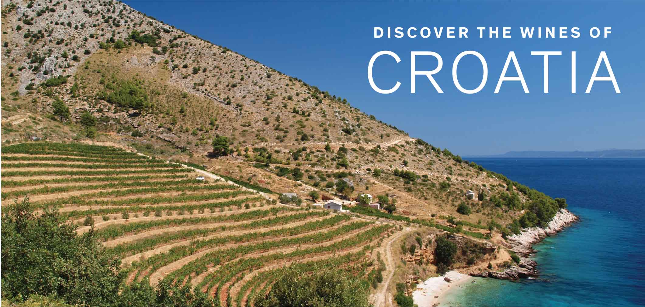 Discover the wines of Croatia