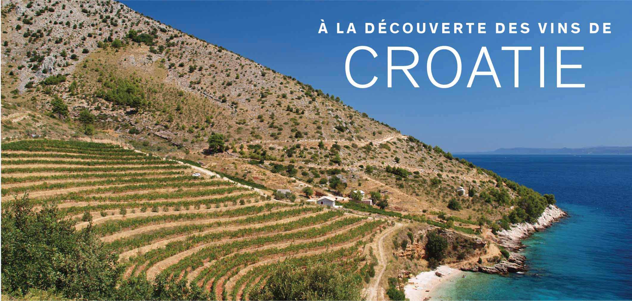 À la découverte des vins de Croatie