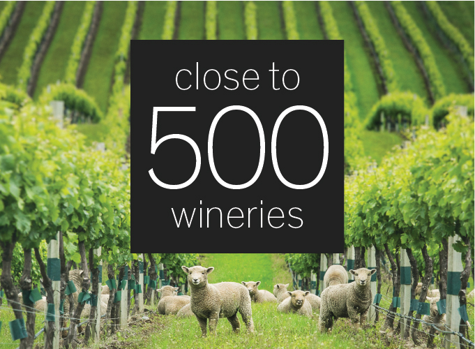 Close to 500 wineries 