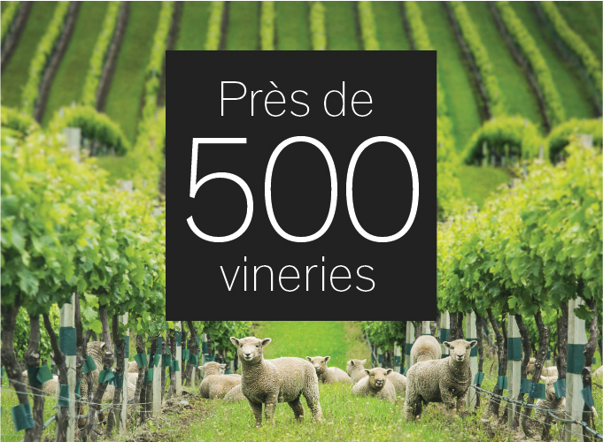 Près de 500 vineries 