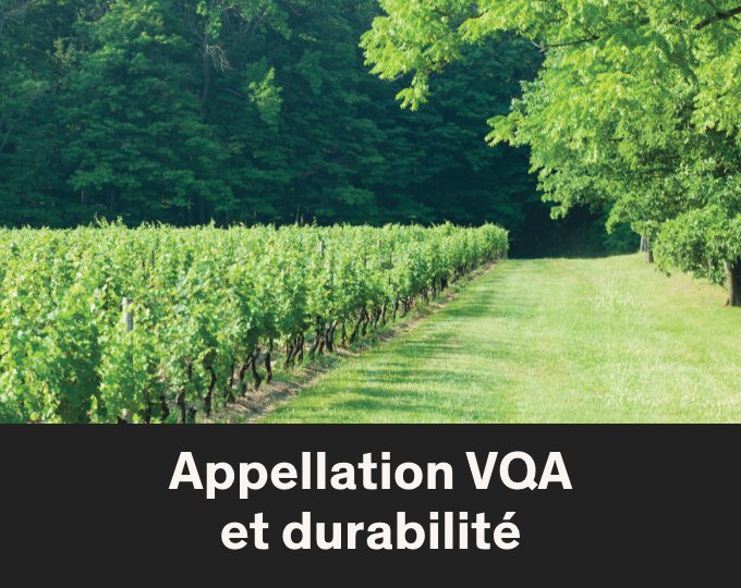Appellation VQA et durabilité