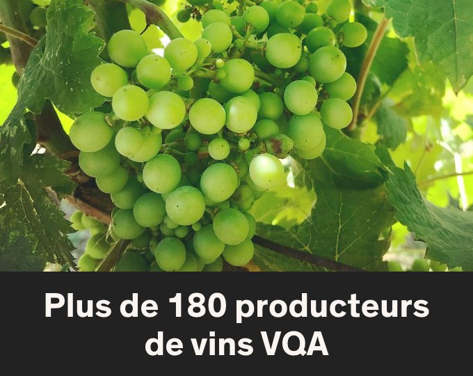 Plus de 180