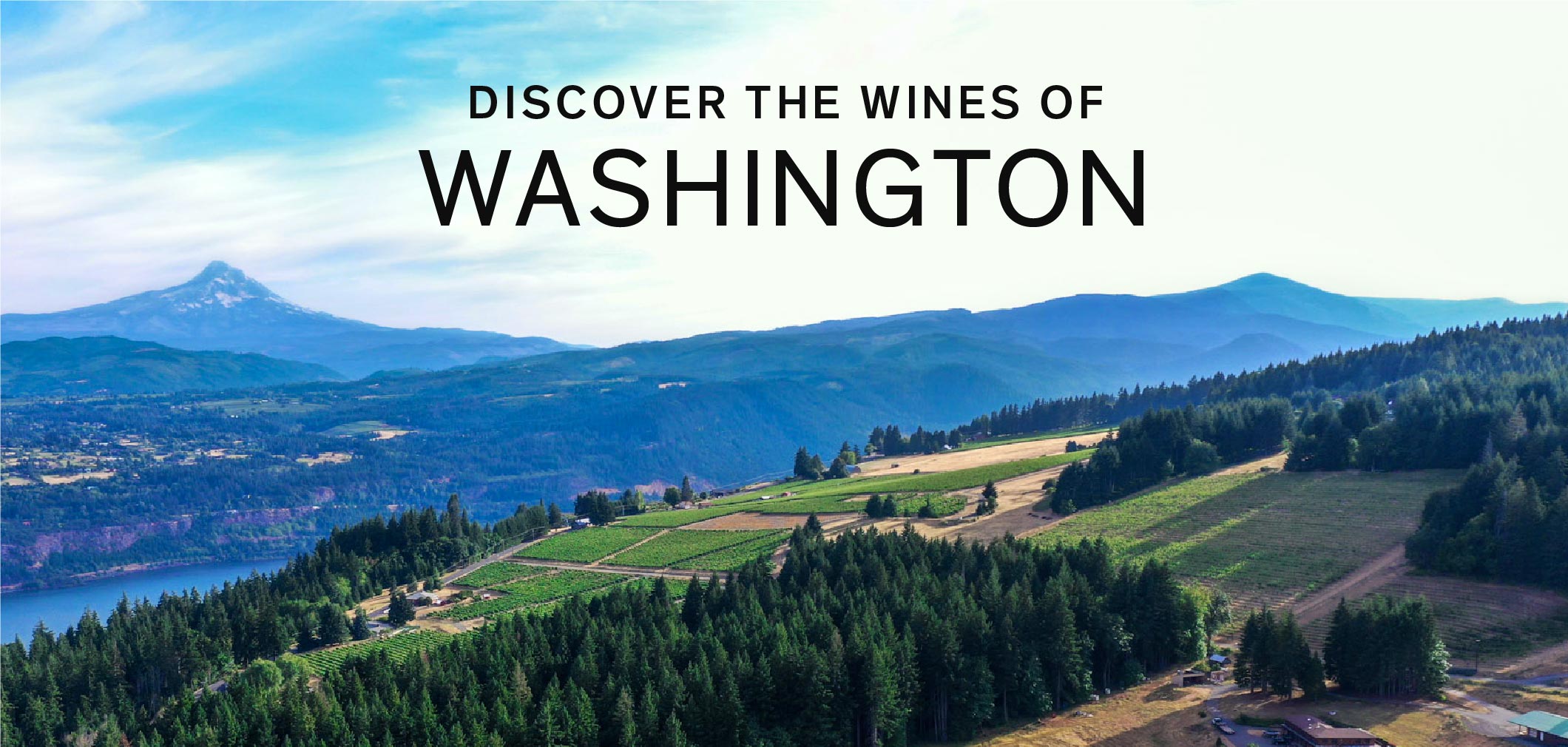 Explore the Wines of Washington