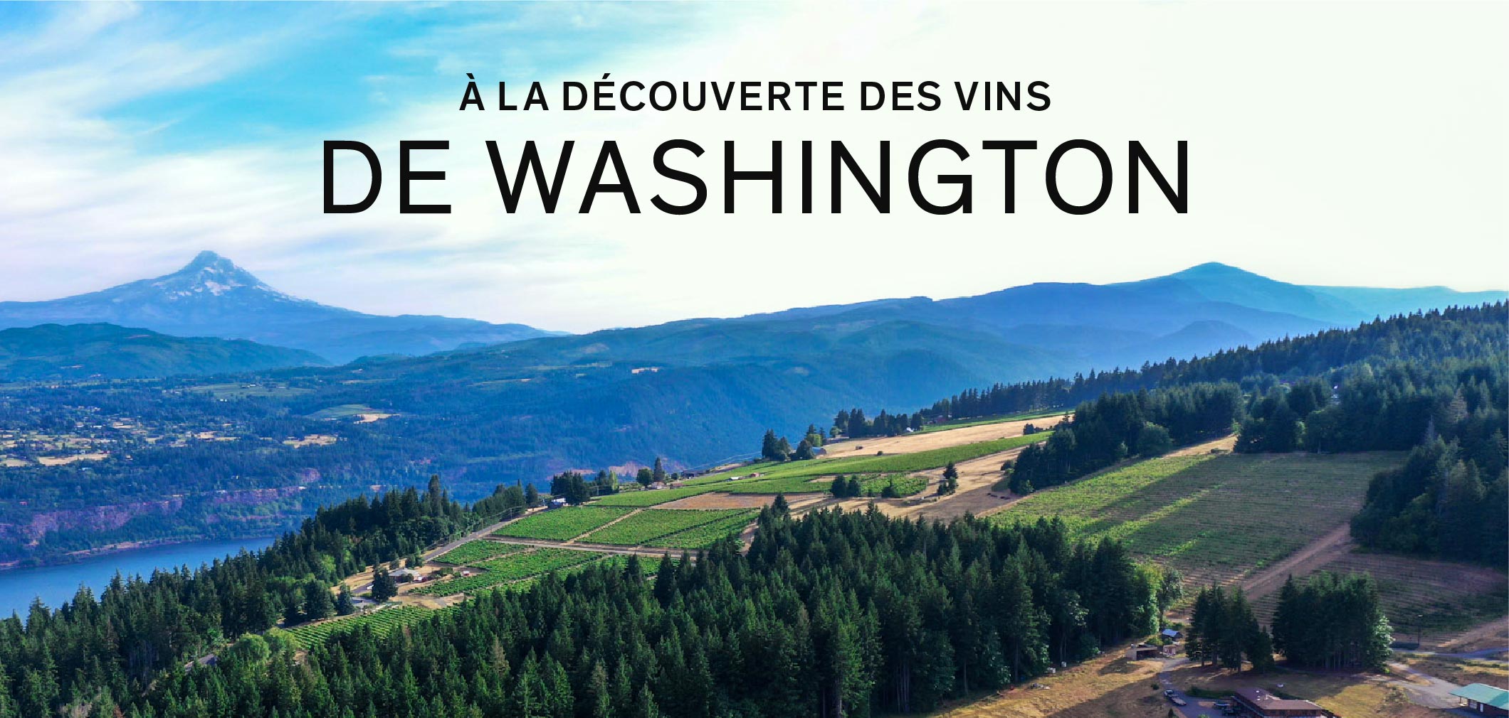 À la découverte des vins de l’État de Washington