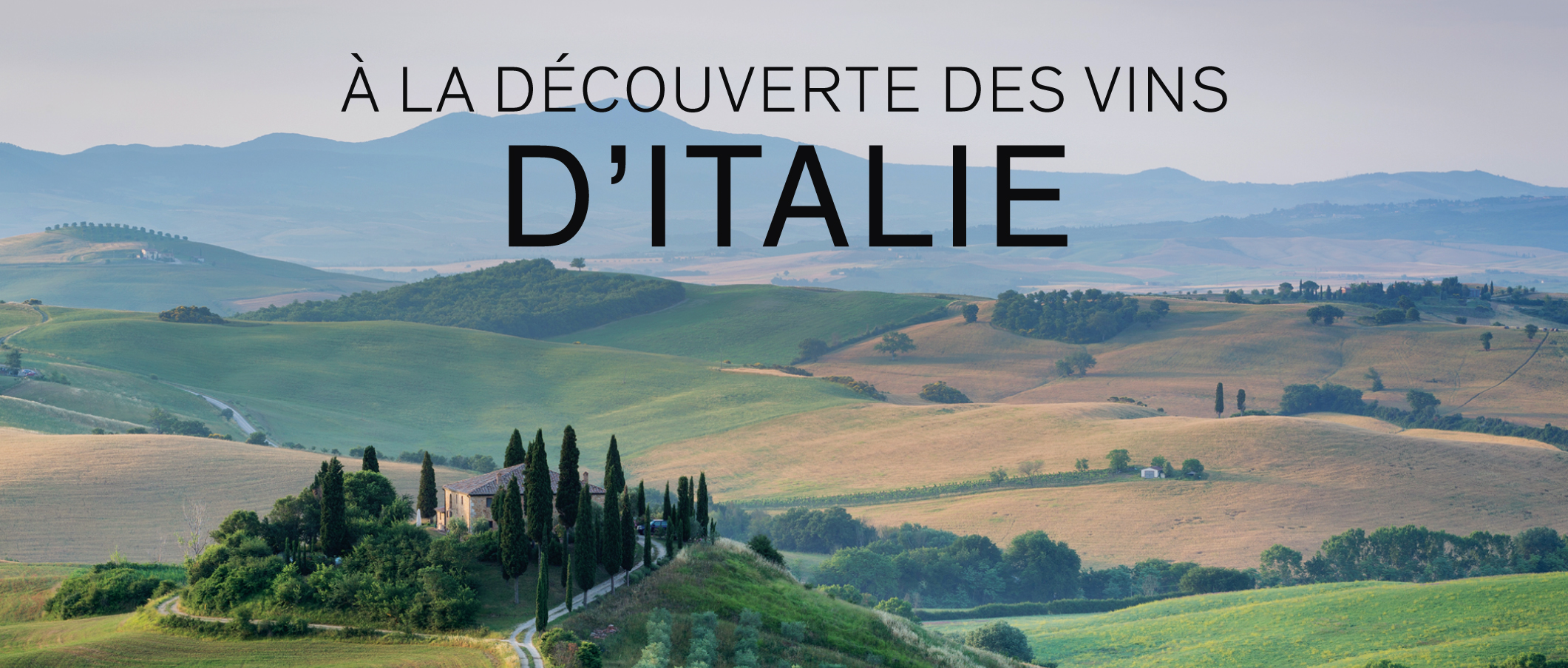 À la découverte des vins Italie