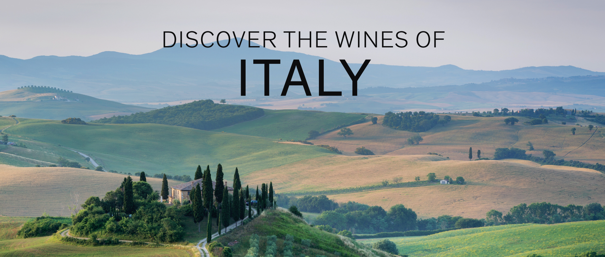 Discover the Wines of Italy