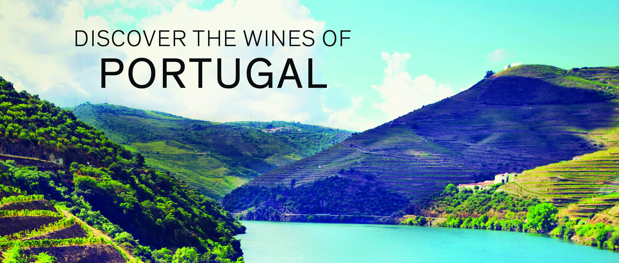 Discover the wines of Portugal