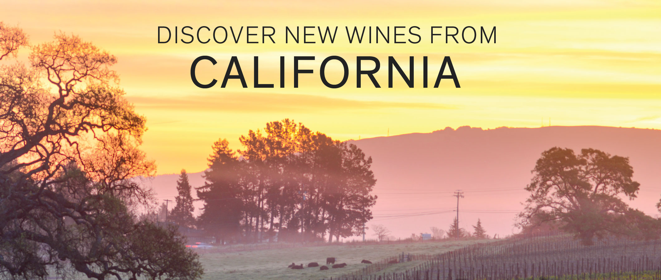 Learn about the wines of California