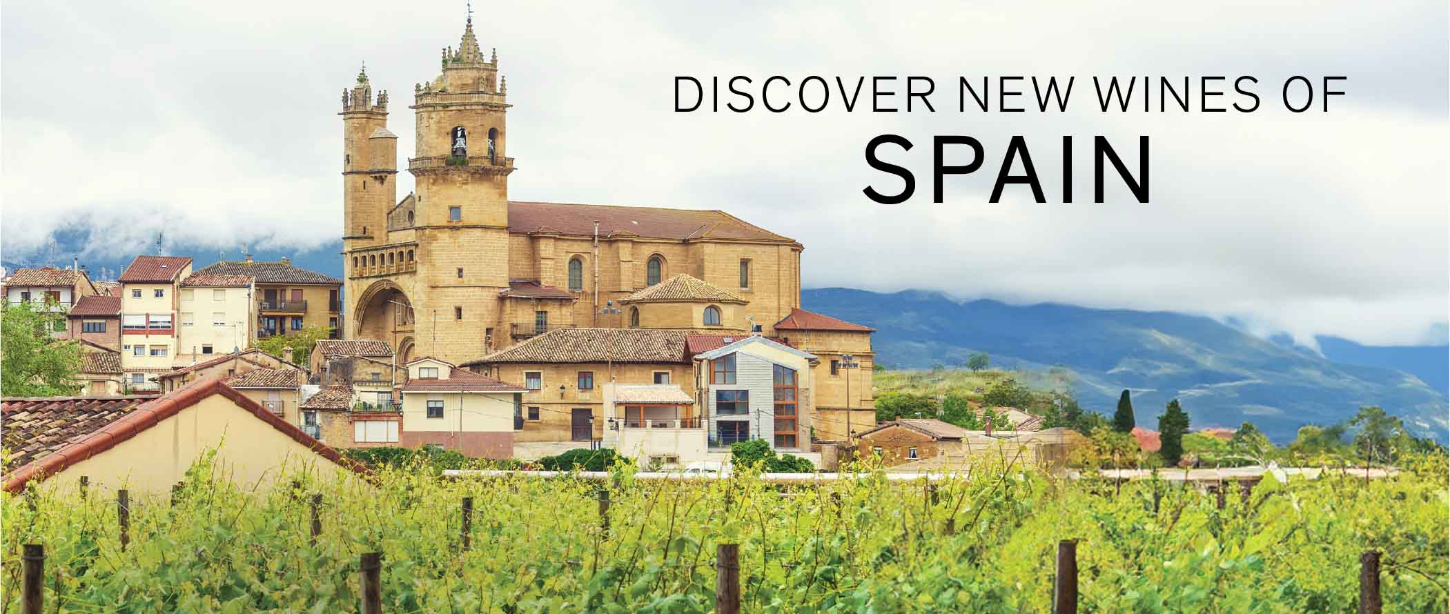 Discover the Wines of Spain  