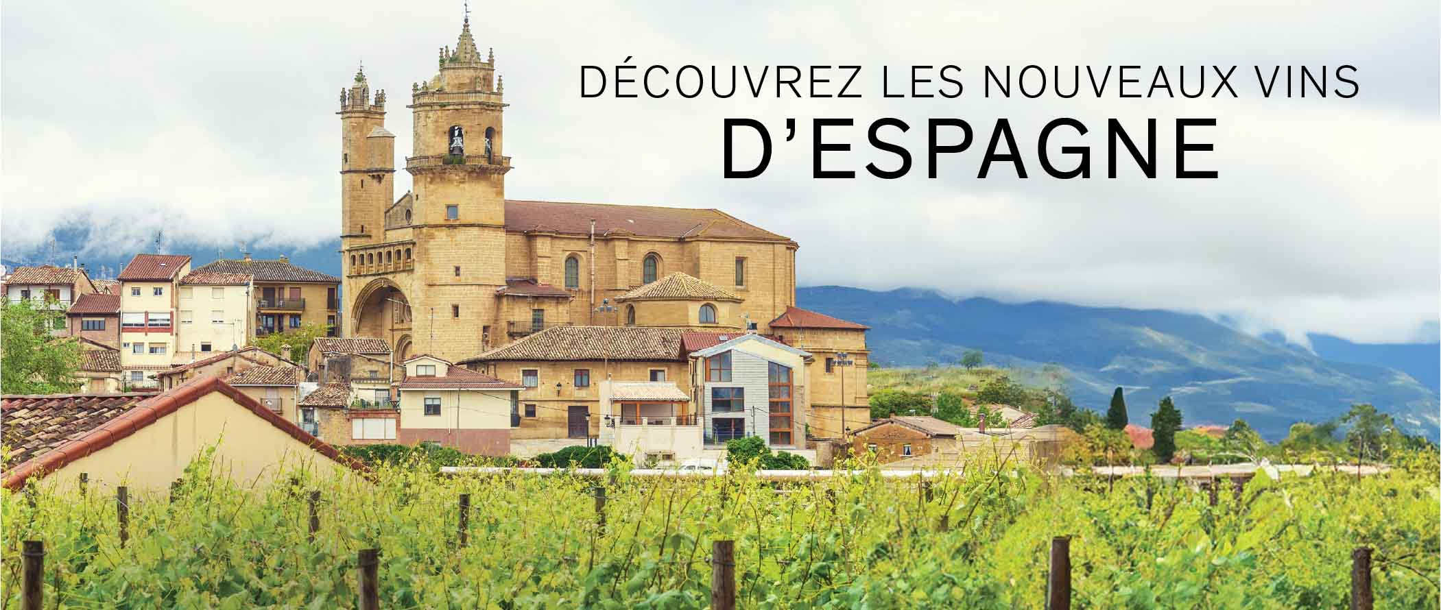 À la découverte des vins de l’Espagne