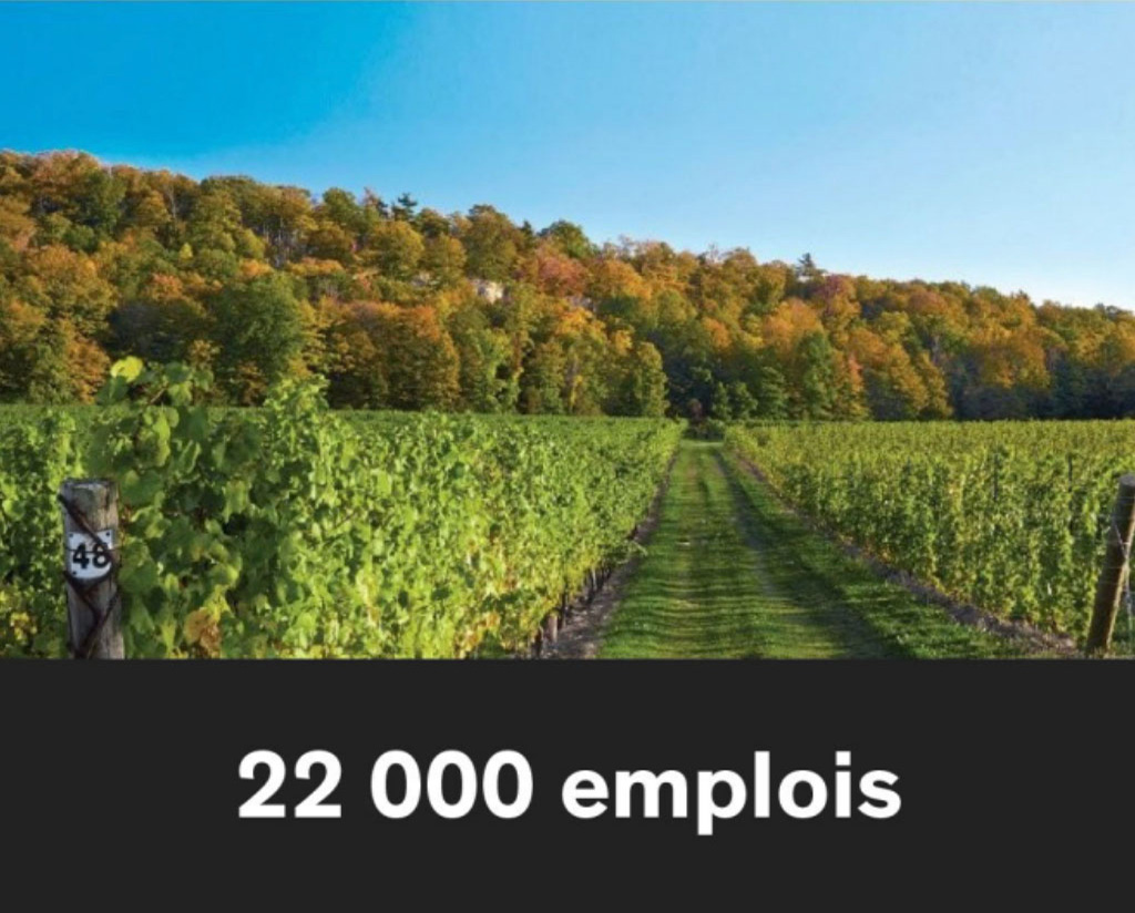 22,000 emplois