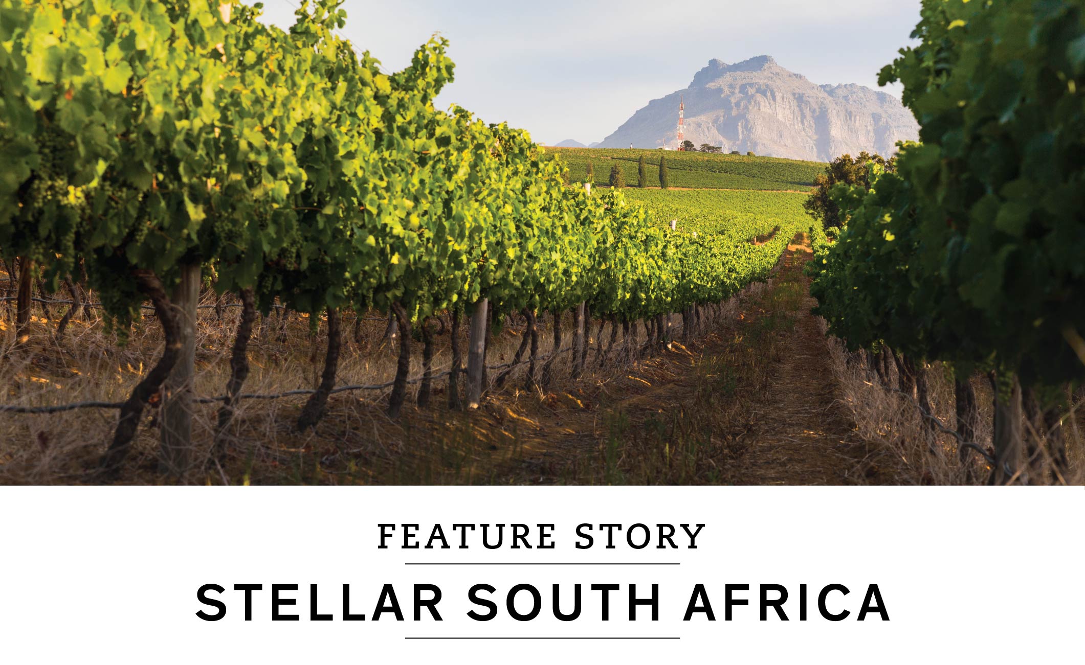 STELLAR SOUTH AFRICA