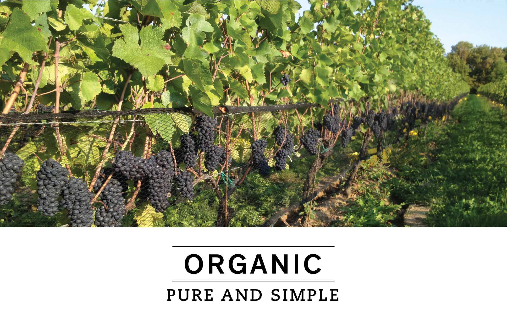 ORGANIC: PURE AND SIMPLE