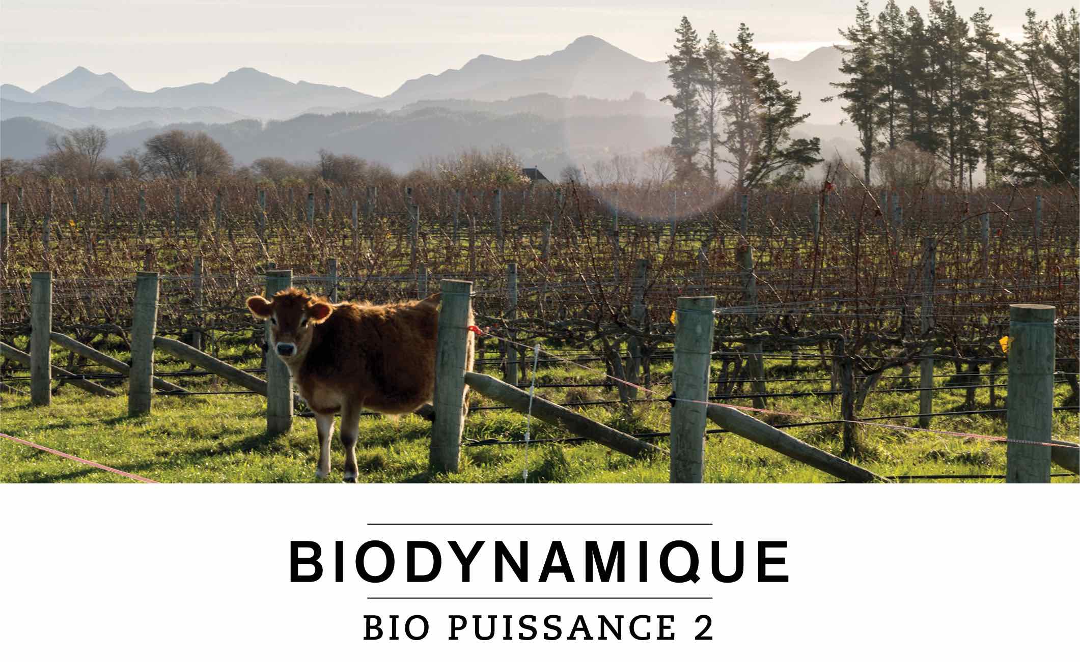 BIODYNAMIQUE : BIO PUISSANCE 2