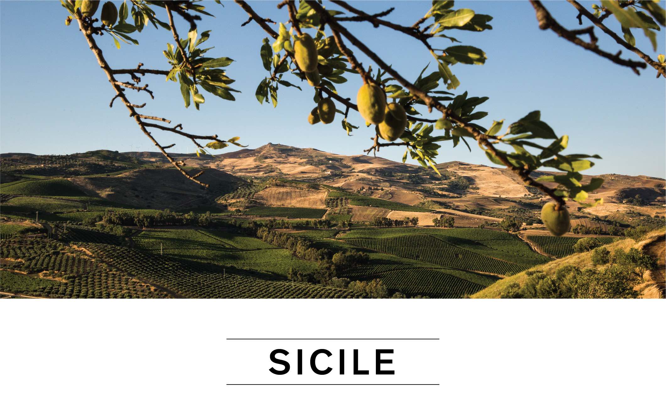 SICILE