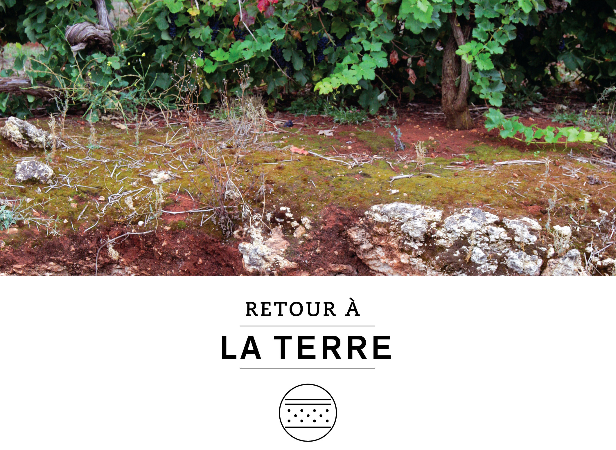 Retour à la terre