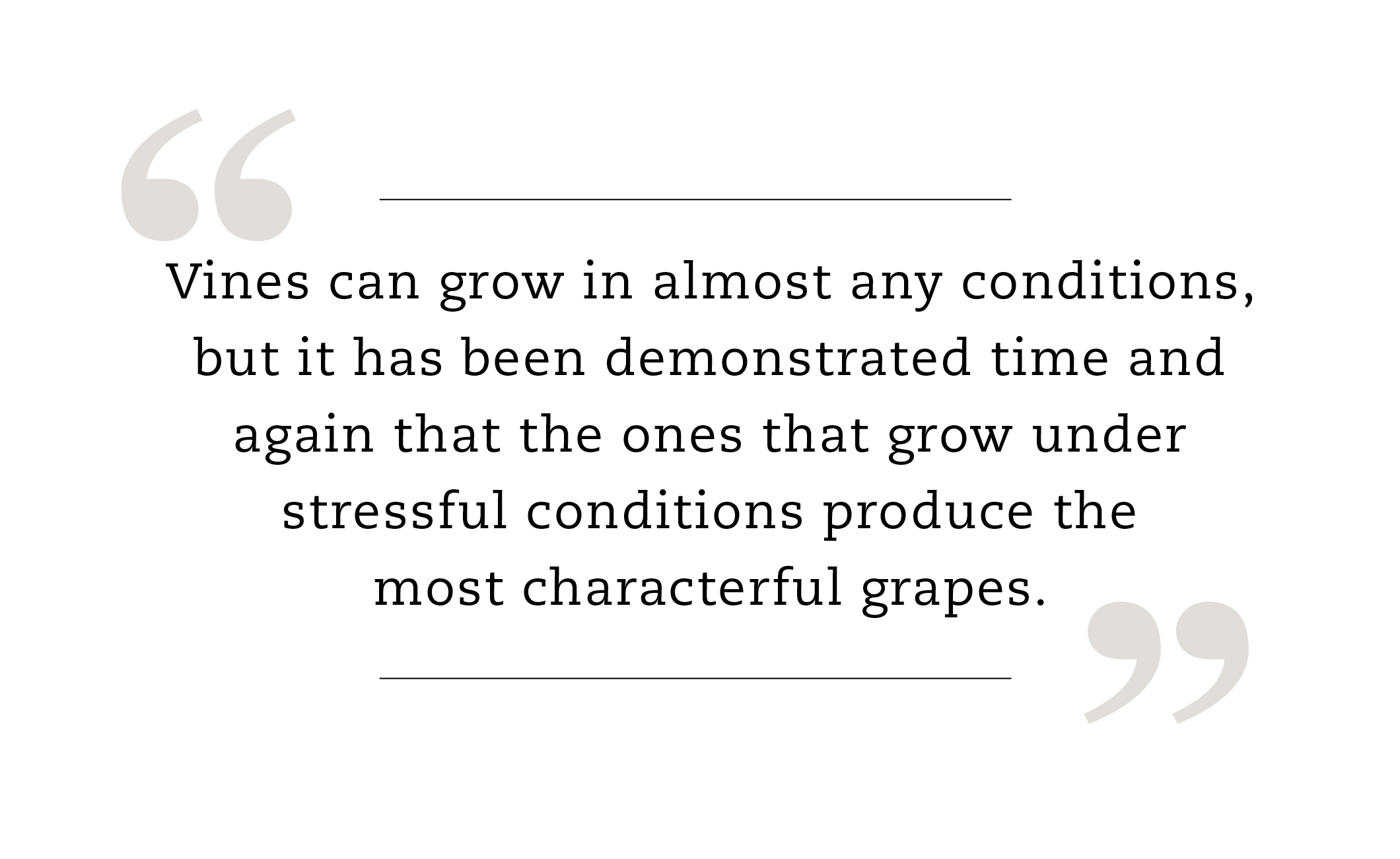 Vines can grow in almost any conditions, but it has been demonstrated time and again that the ones that grow under stressful conditions produce the most characterful grapes.