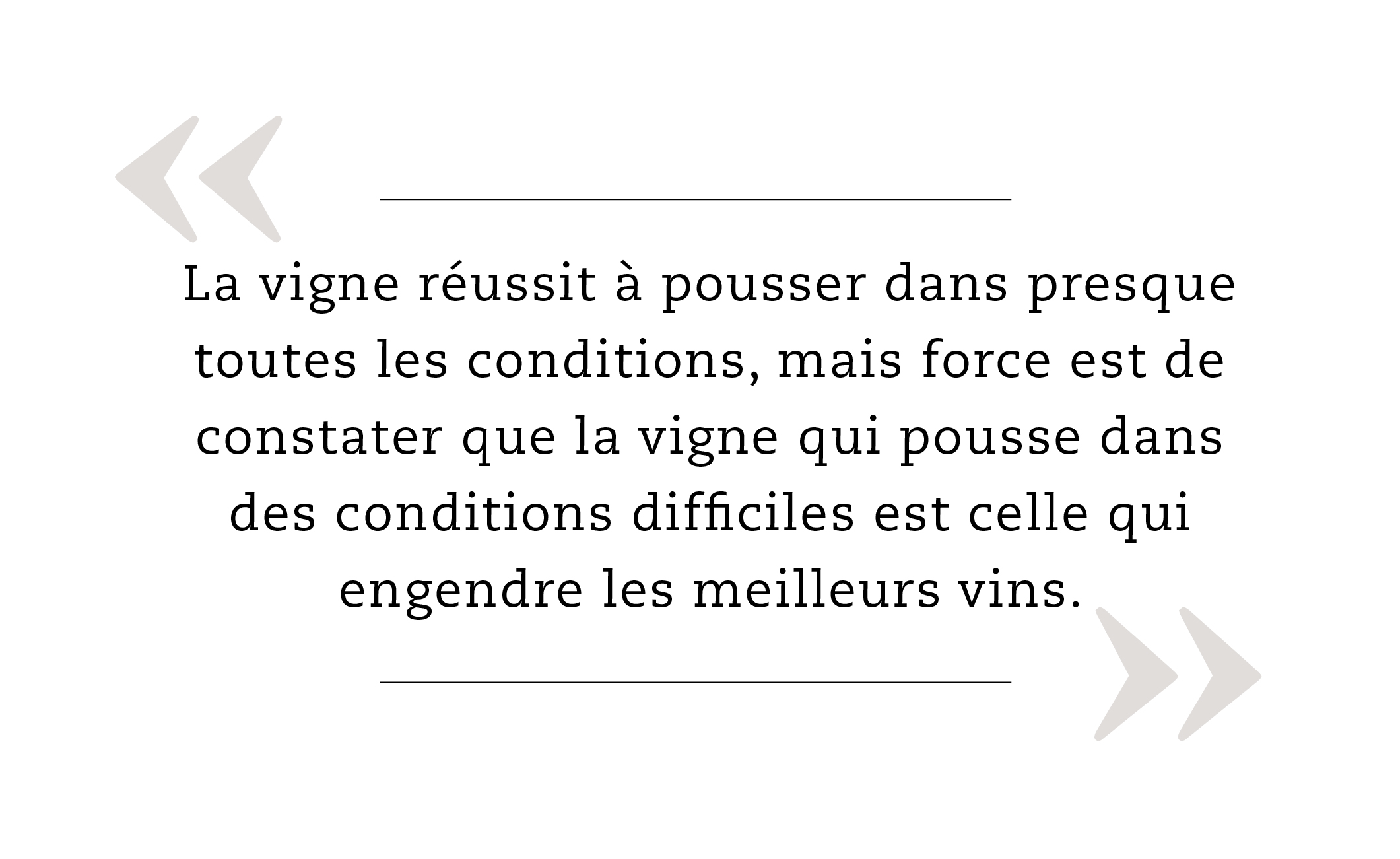 « La vigne réussit à pousser dans presque toutes les conditions, mais force est de constater que la vigne qui pousse dans des conditions difficiles est celle qui engendre les meilleurs vins. »