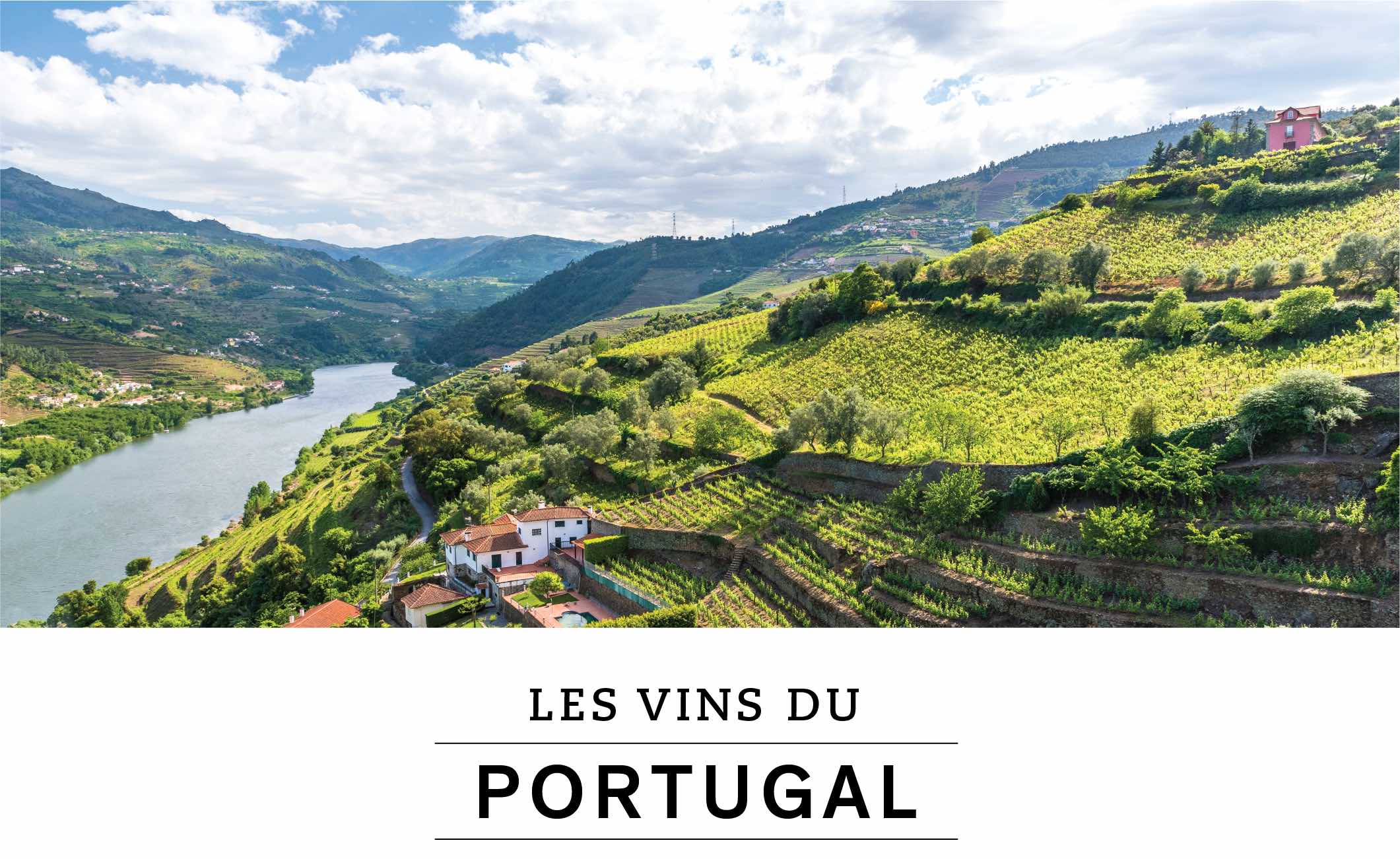 Les vins du Portugal